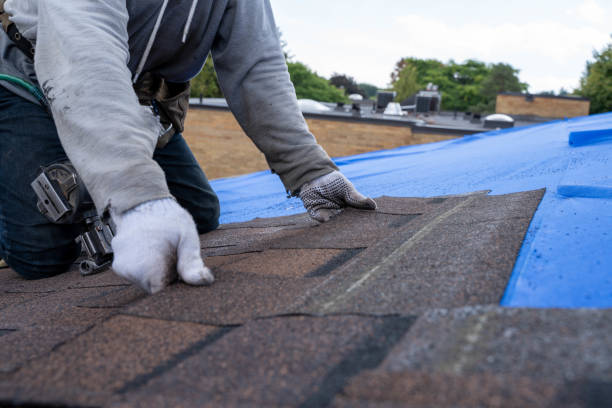 Quick and Trustworthy Emergency Roof Repair Services in Paris, KY